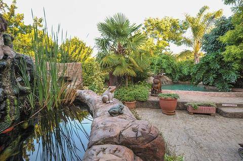 The pool at Cosmos Cuisine Guesthouse in Addo, Eastern Cape