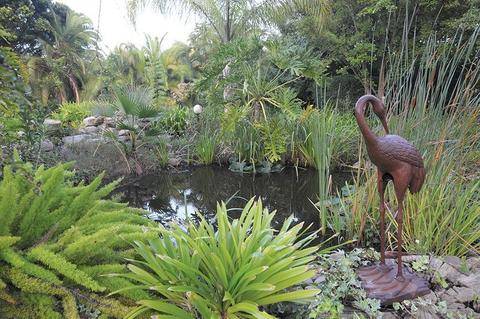 The pond at Cosmos cuisine Guesthouse in Addo, Eastern Cape