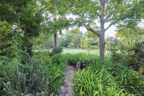 The garden at Cosmos Cuisine Guesthouse in Addo, Eastern Cape