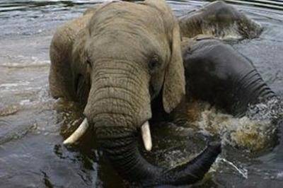 addo-park-game-drive-braai addo-park-game-drive-braai