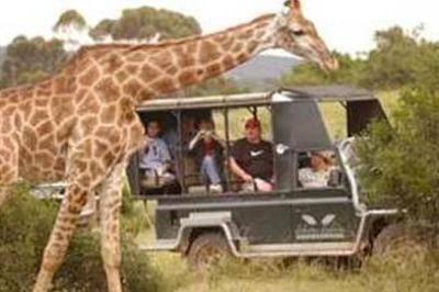 open-landrover-game-drives open-landrover-game-drives