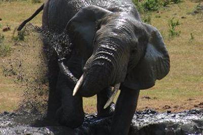 addo-park-river-cruise-b5 addo-park-river-cruise-b5